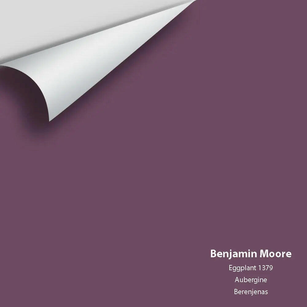 Big Paint Chip - Eggplant 1379