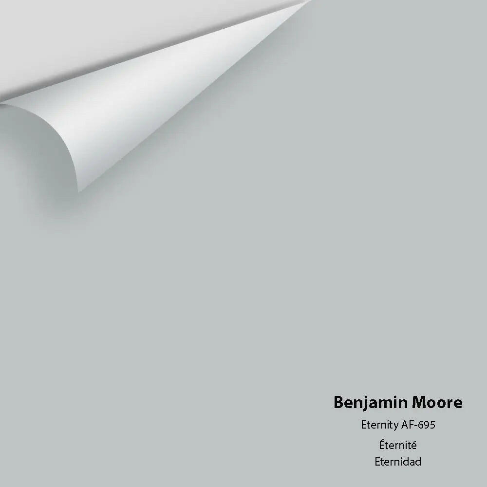 Benjamin Moore - Eternity AF-695 Colour Sample