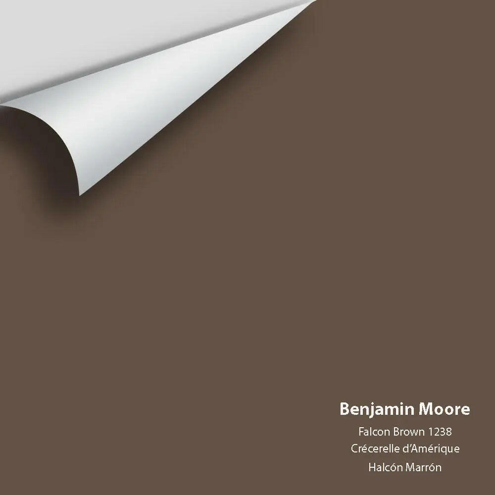 Big Paint Chip - Falcon Brown 1238