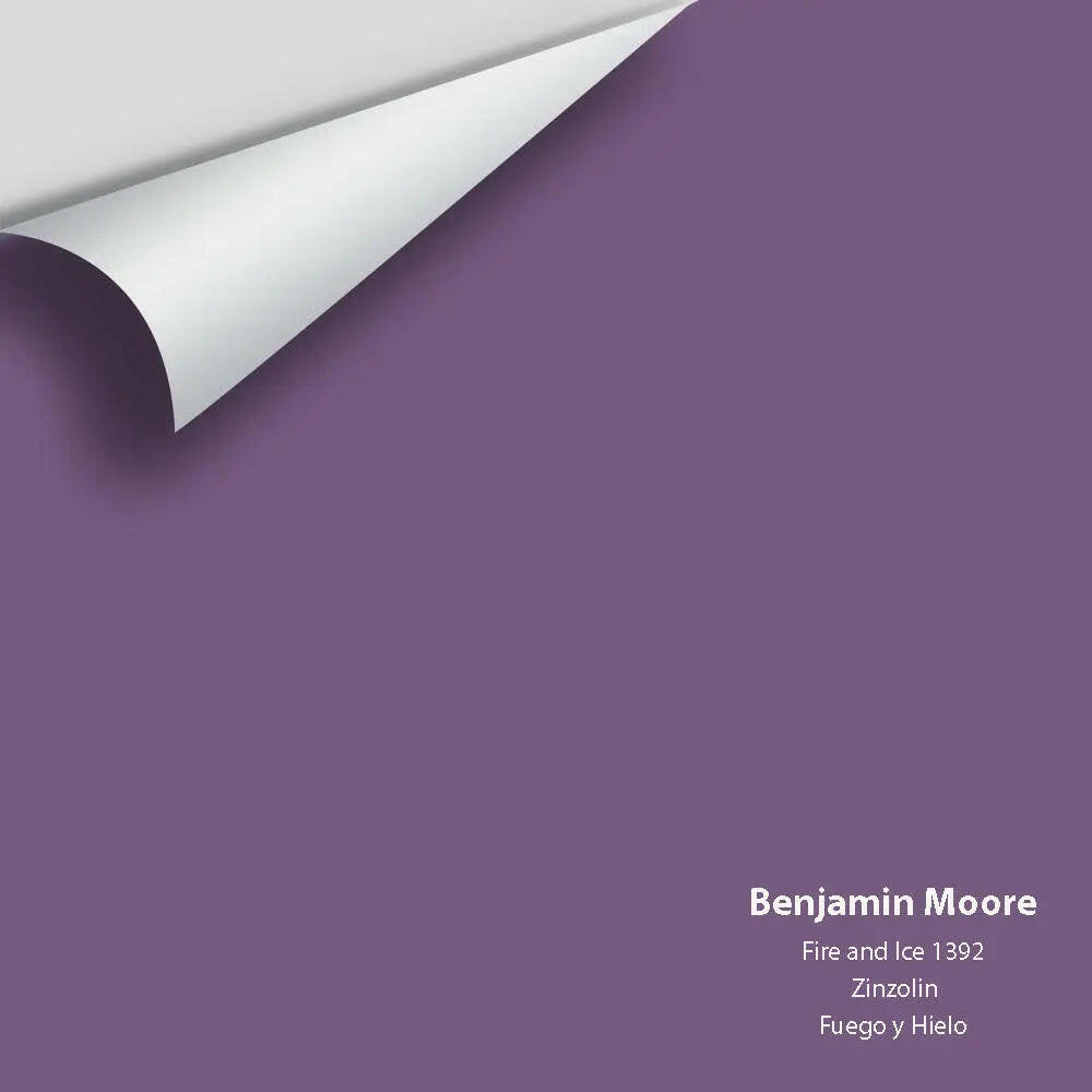 Big Paint Chip - Fire and Ice 1392