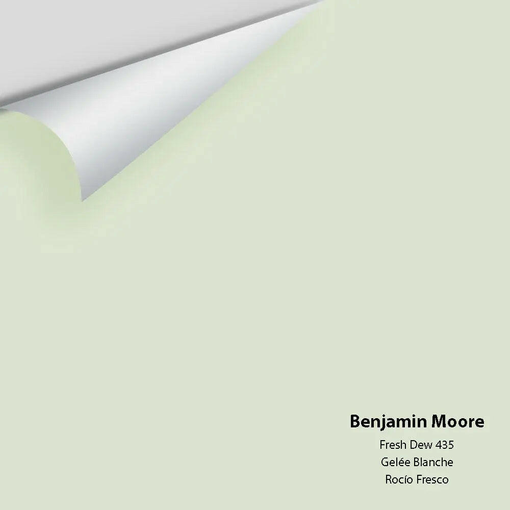 Benjamin Moore - Fresh Dew 435 Colour Sample