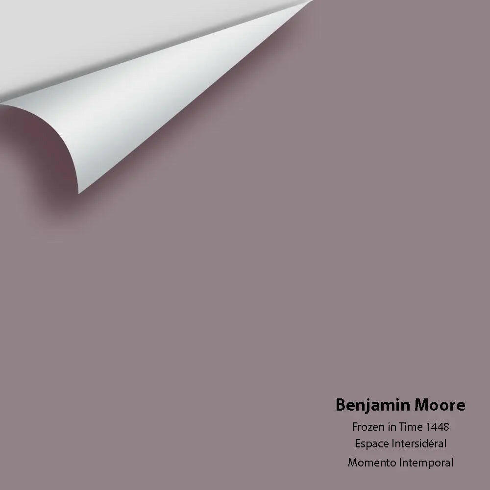 Benjamin Moore - Frozen in Time 1448 Colour Sample