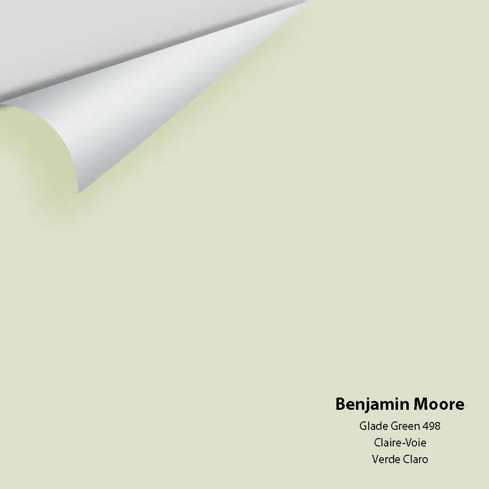 Big Paint Chip - Glade Green 498