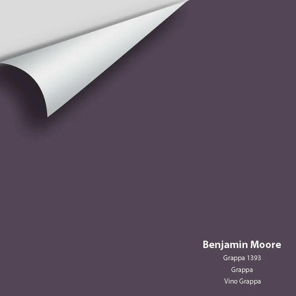 Big Paint Chip - Grappa 1393