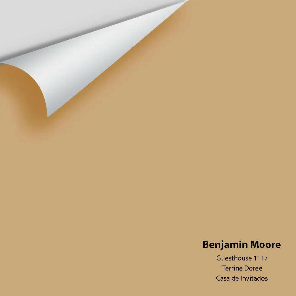 Big Paint Chip - Guesthouse 1117