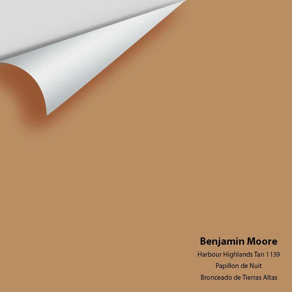 Big Paint Chip - Harbour Highlands Tan 1139