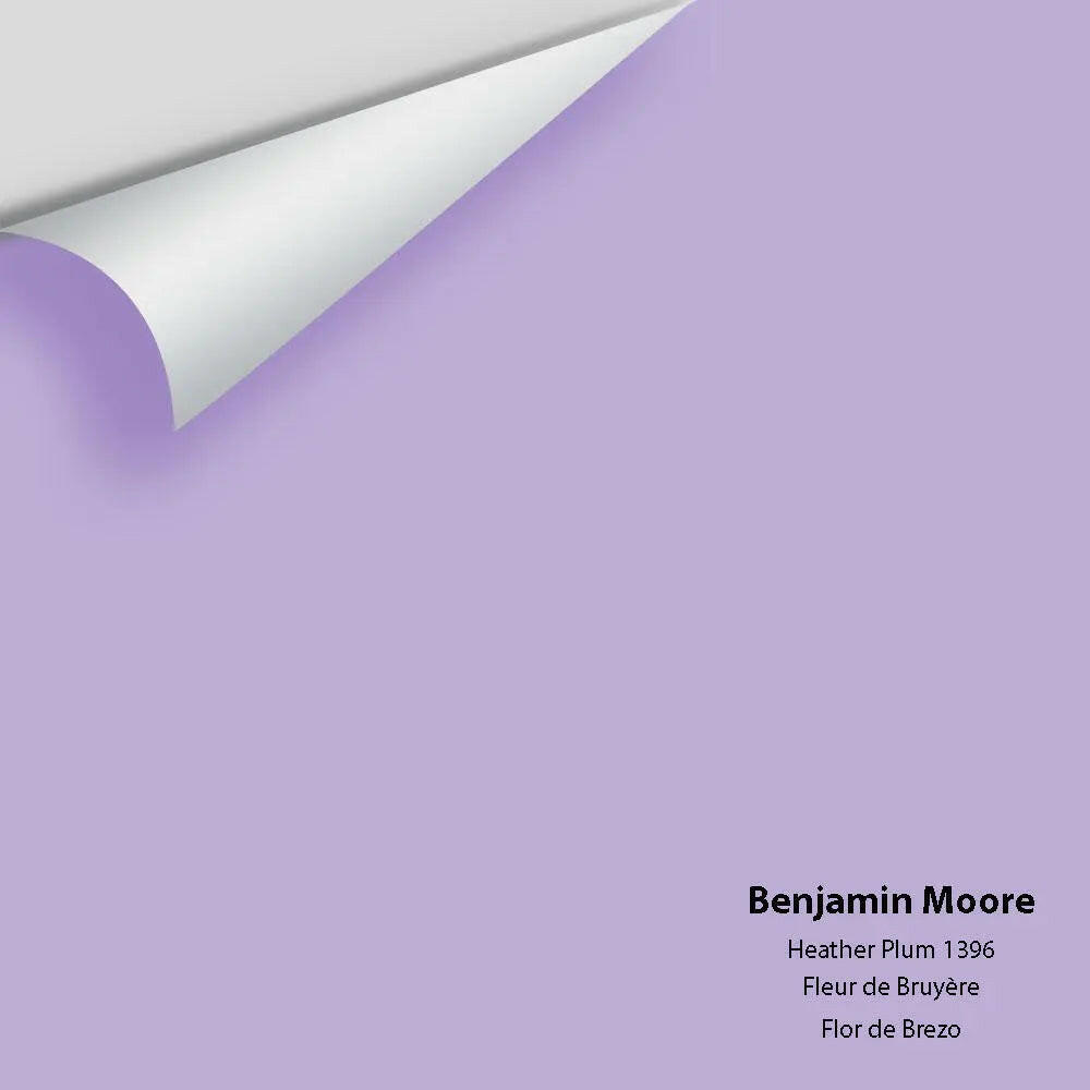 Big Paint Chip - Heather Plum 1396