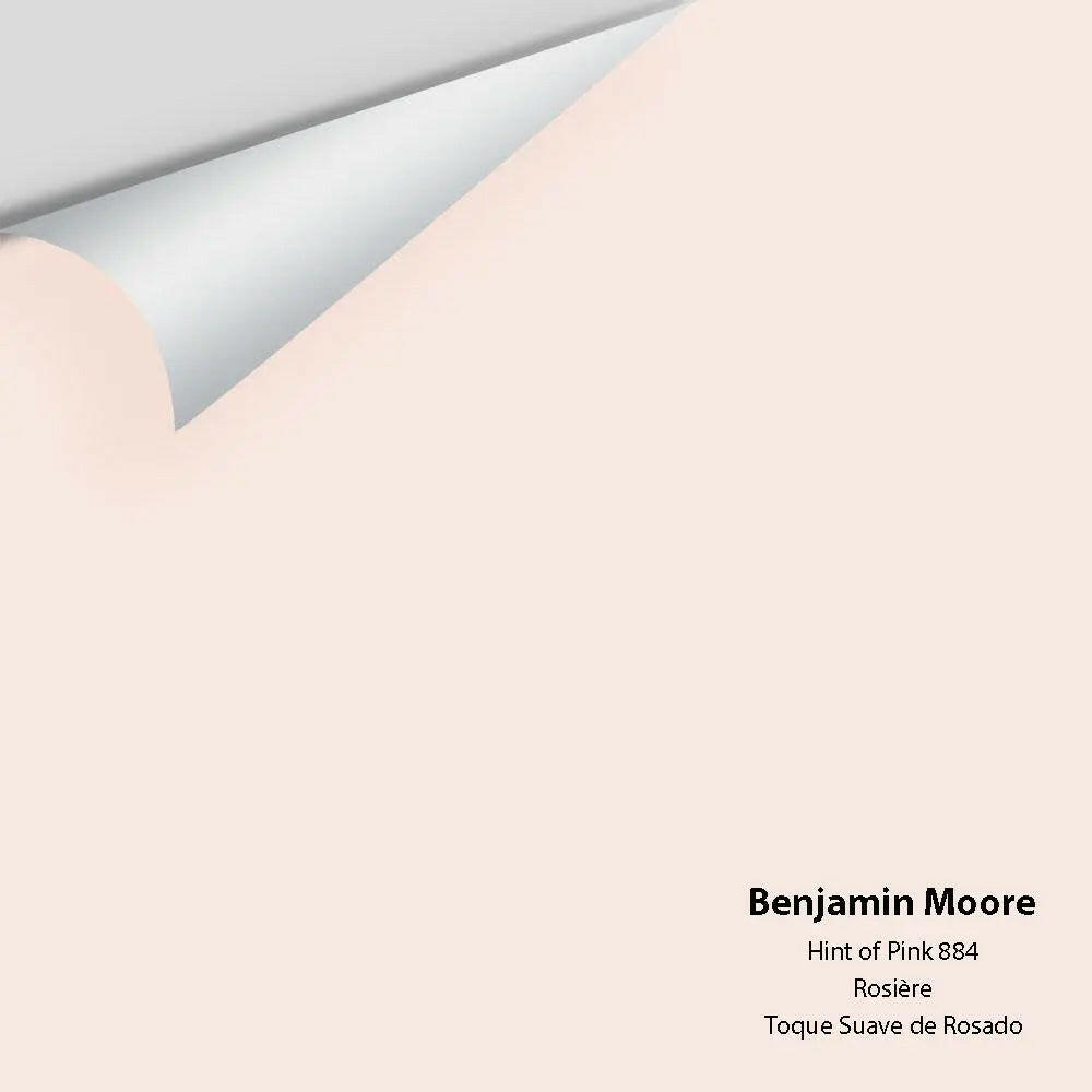 Big Paint Chip - Hint of Pink 884