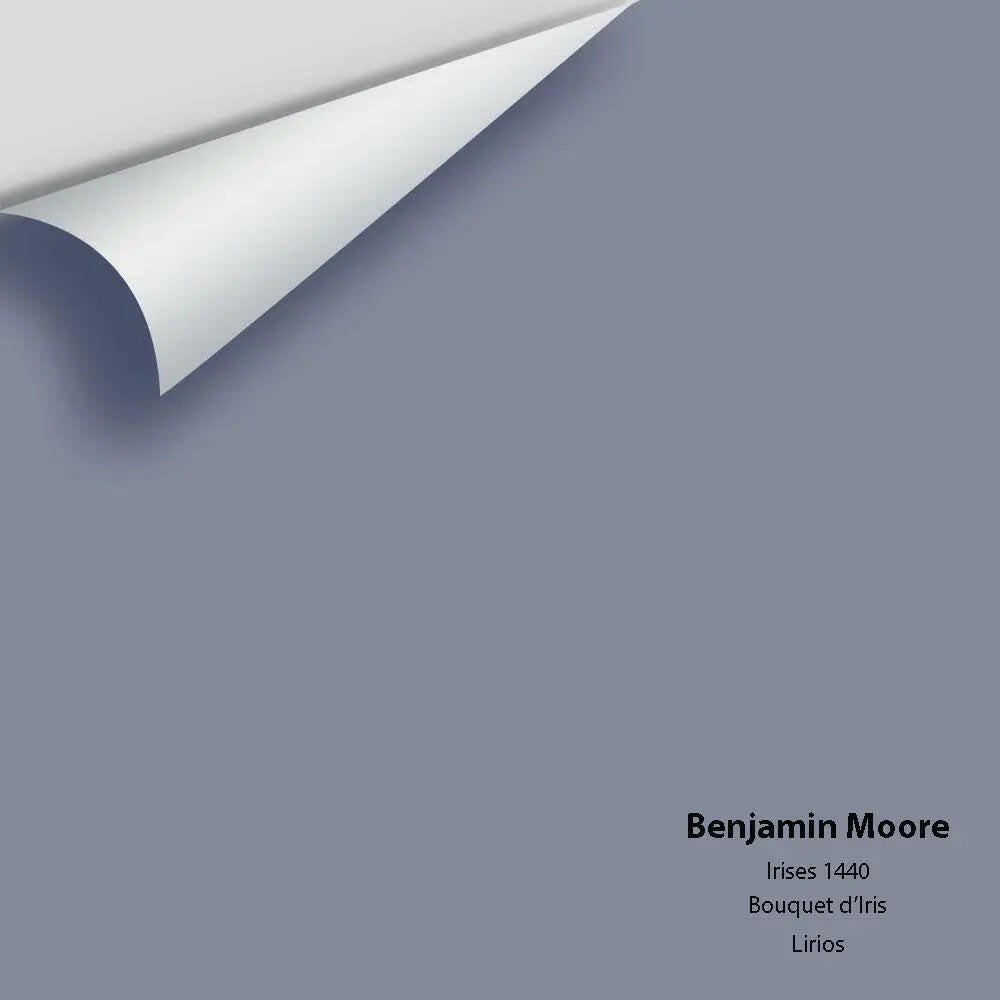 Benjamin Moore - Irises 1440 Colour Sample