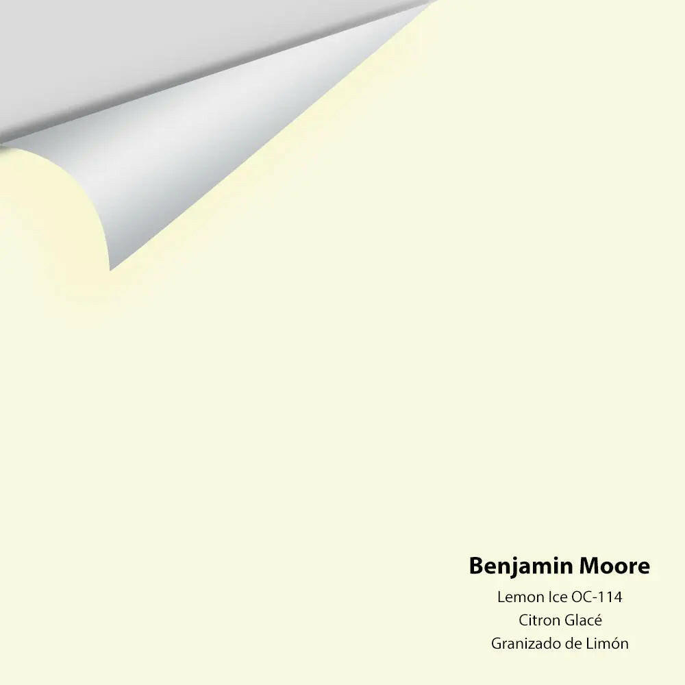 Big Paint Chip - Lemon Ice 2024-70 / OC-114