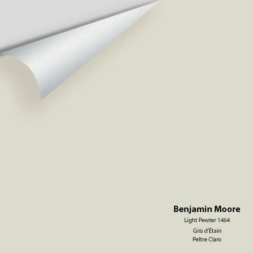 Benjamin Moore - Light Pewter 1464 Colour Sample