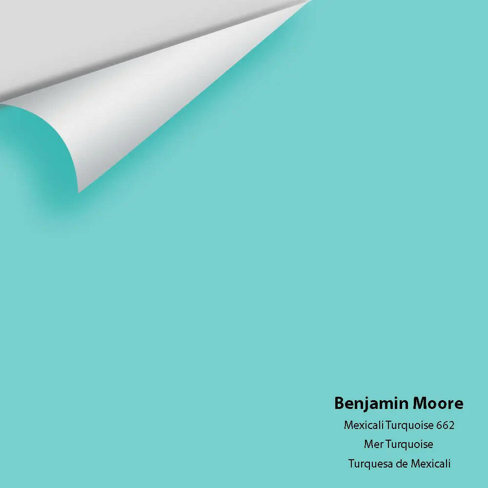 Big Paint Chip - Mexicali Turquoise 662