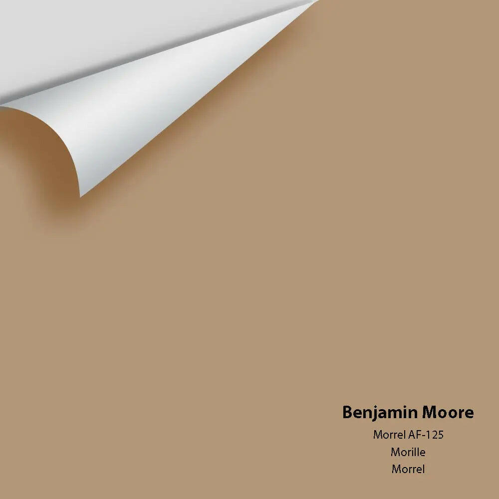 Big Paint Chip - Morrel AF-125