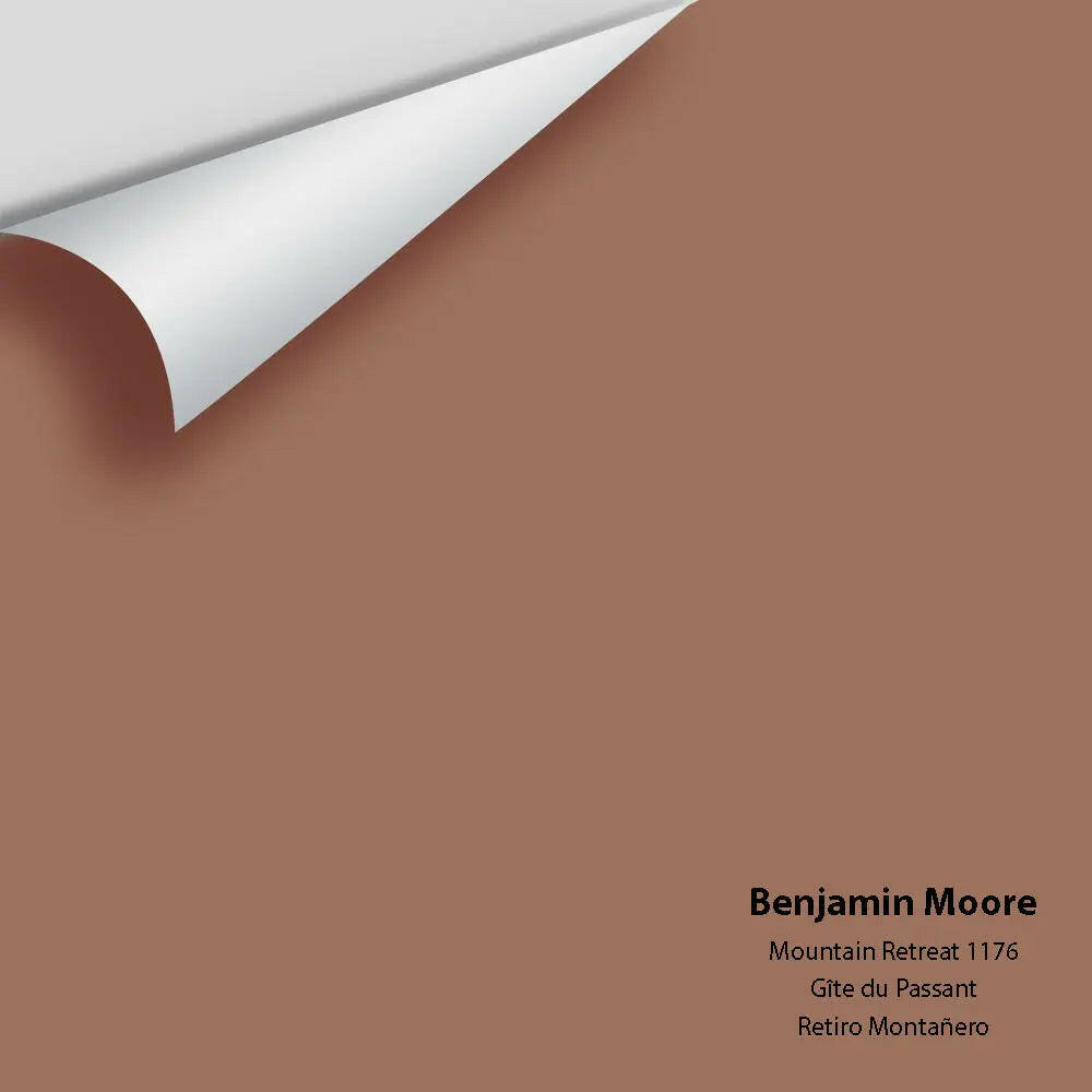Big Paint Chip - Mountain Retreat 1176