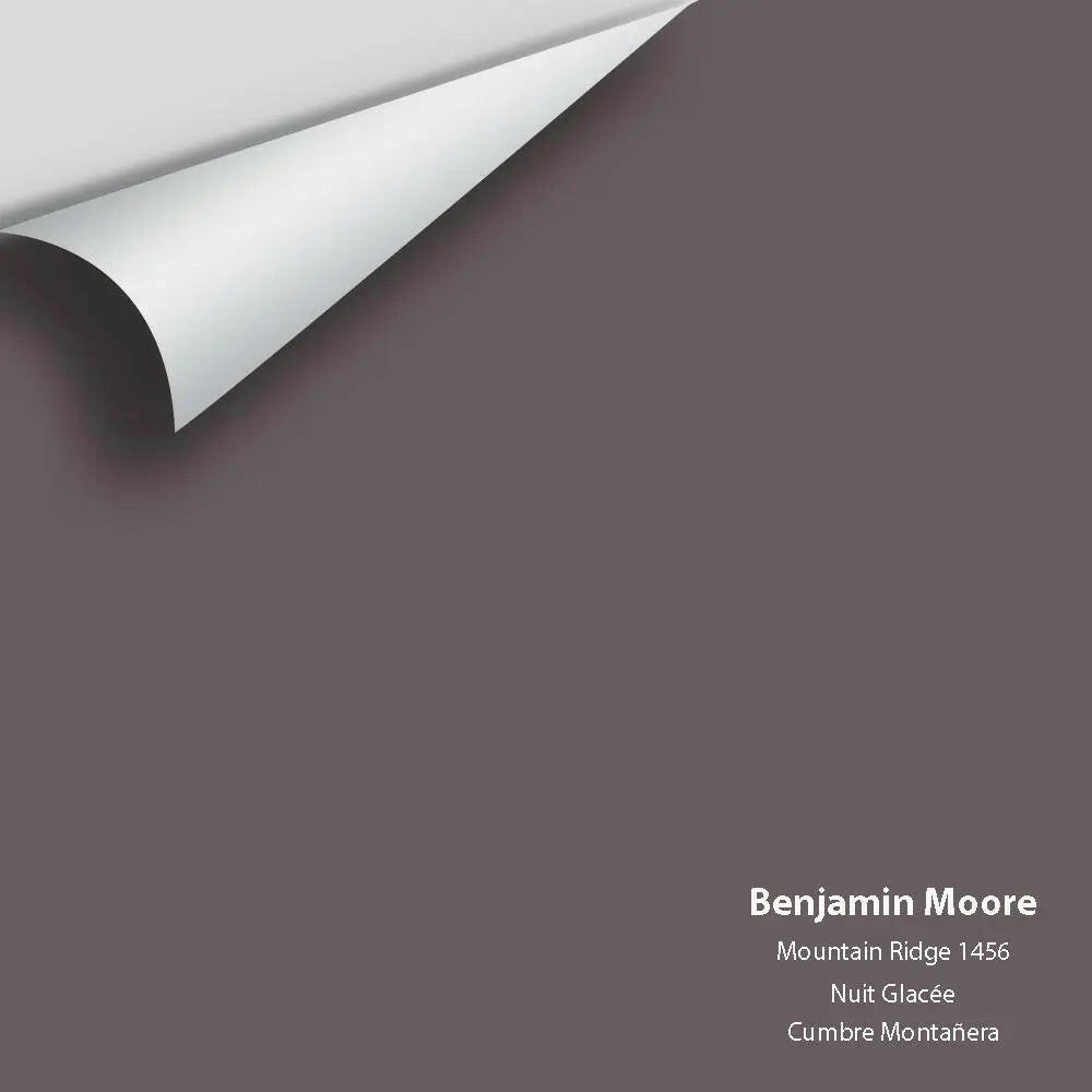 Big Paint Chip - Mountain Ridge 1456