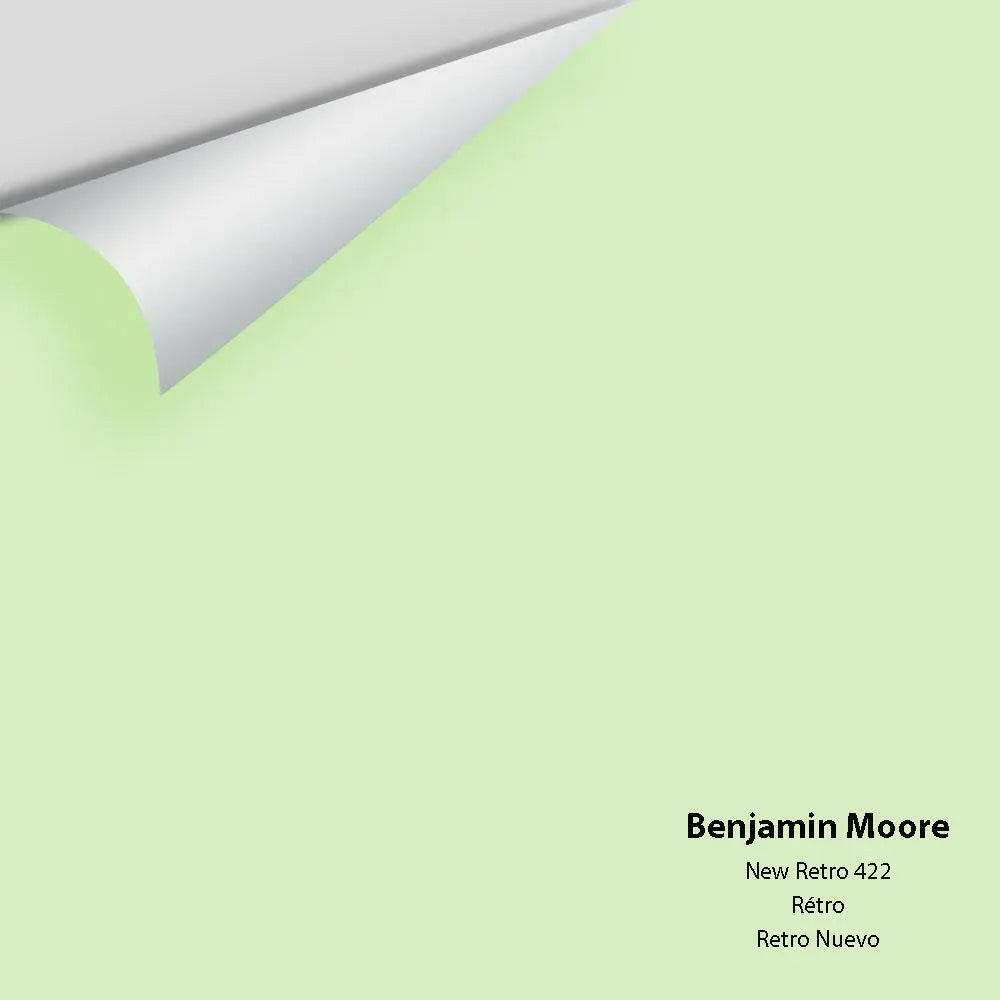 Big Paint Chip - New Retro 422