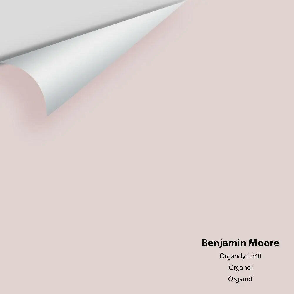 Big Paint Chip - Organdy 1248