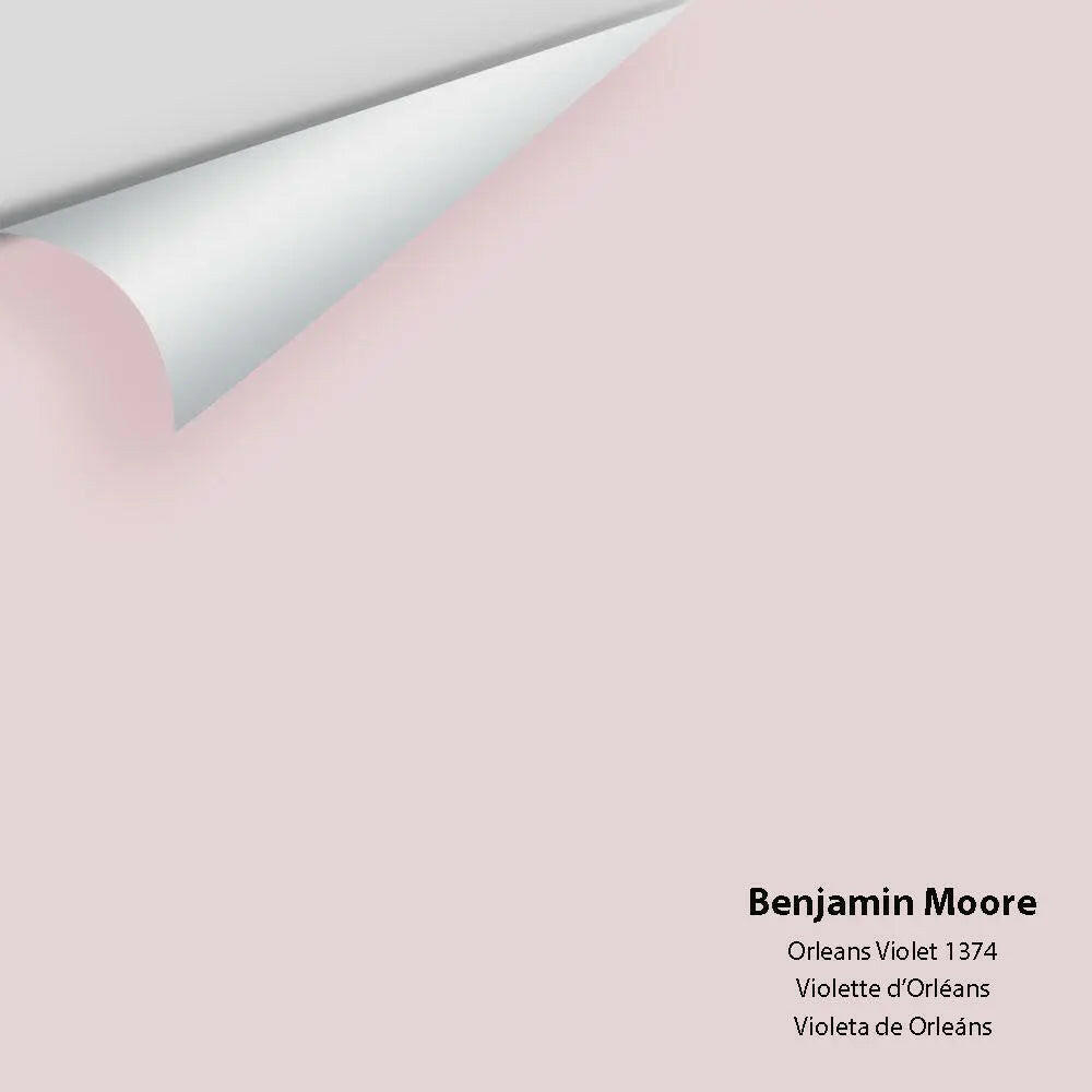 Benjamin Moore - Orleans Violet 1374 Colour Sample