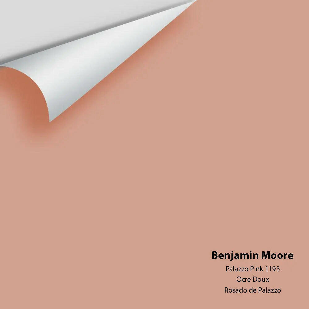Big Paint Chip - Palazzo Pink 1193