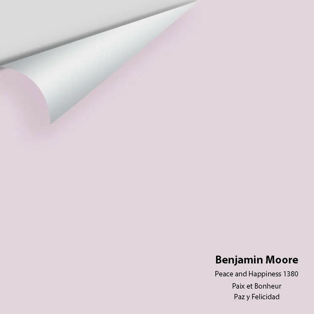 Big Paint Chip - Peace and Happiness 1380