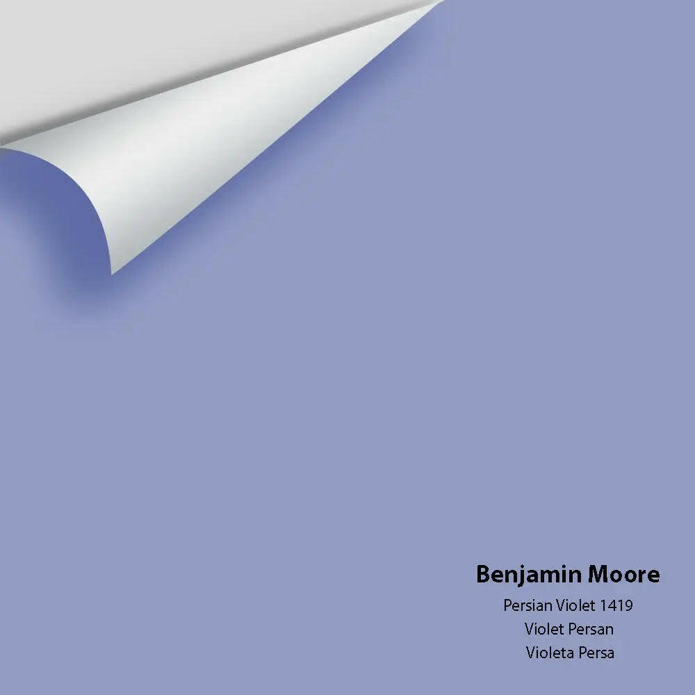 Big Paint Chip - Persian Violet 1419