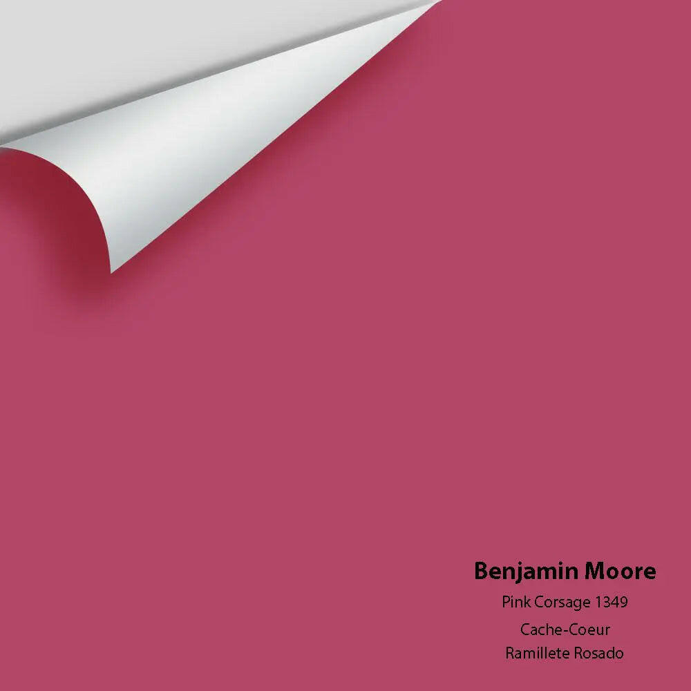 Big Paint Chip - Pink Corsage 1349
