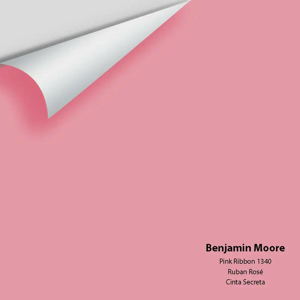 Big Paint Chip - Pink Ribbon 1340