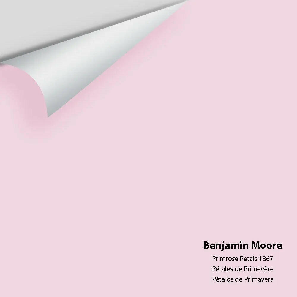 Big Paint Chip - Primrose Petals 1367