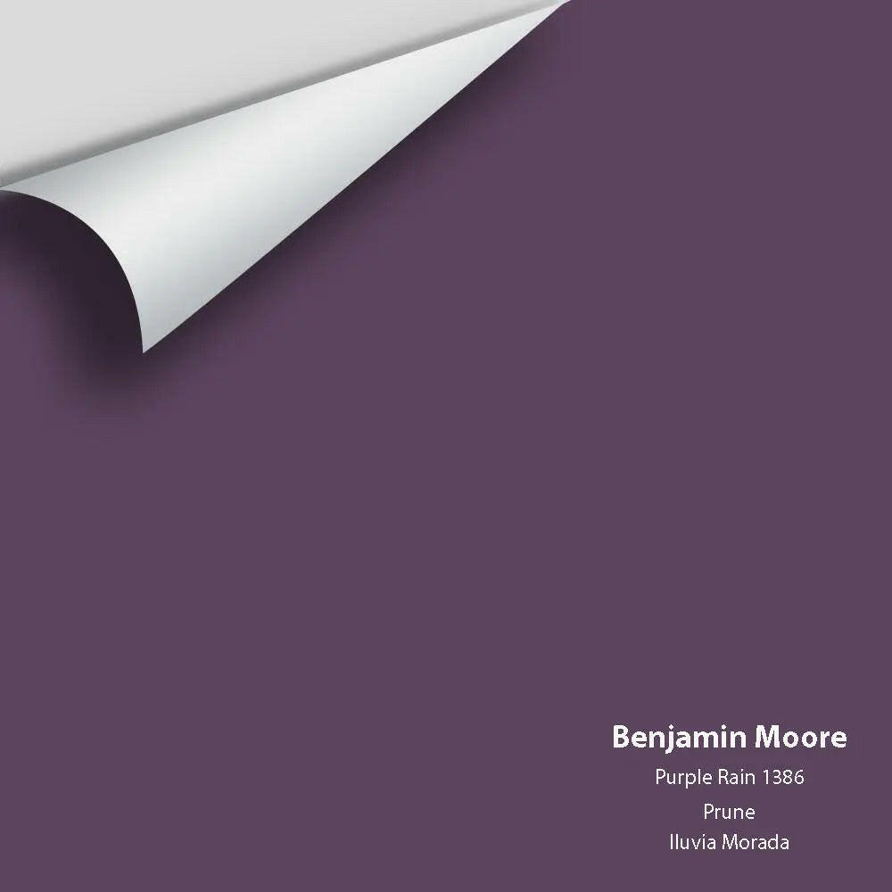 Big Paint Chip - Purple Rain 1386