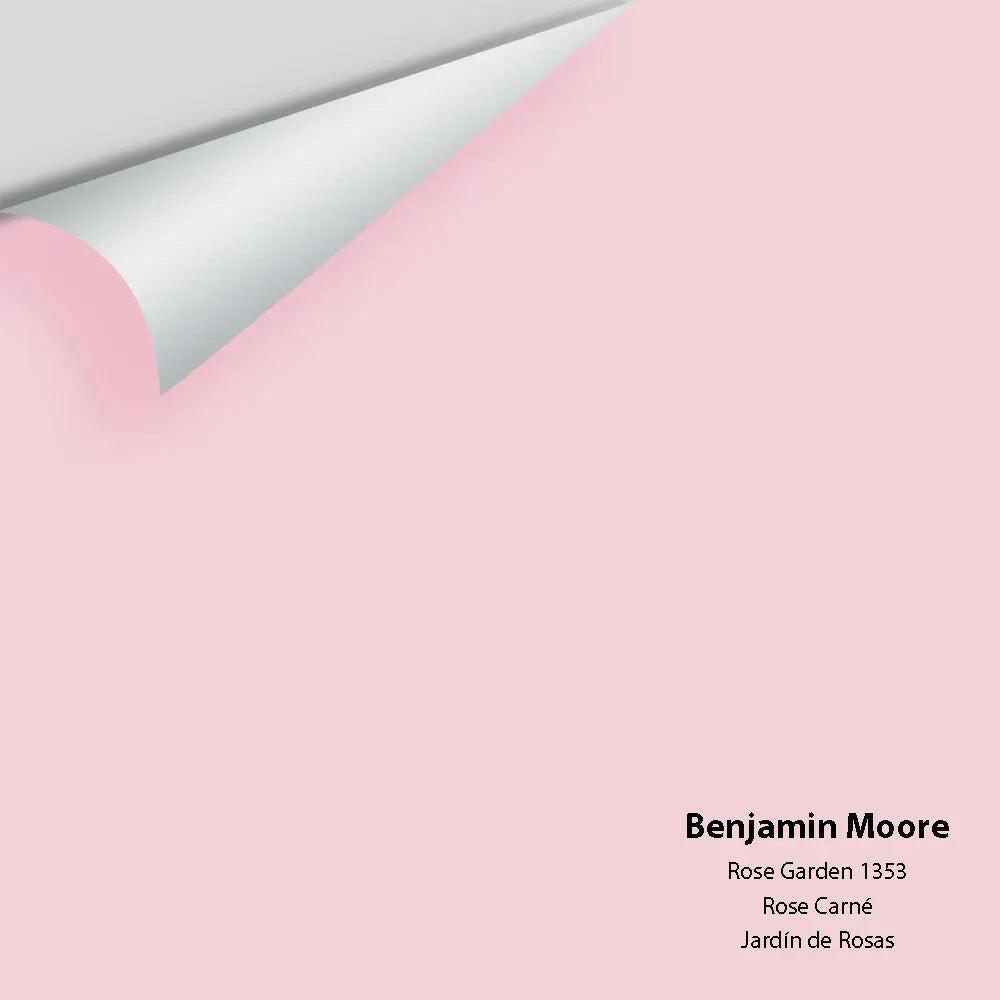 Big Paint Chip - Rose Garden 1353