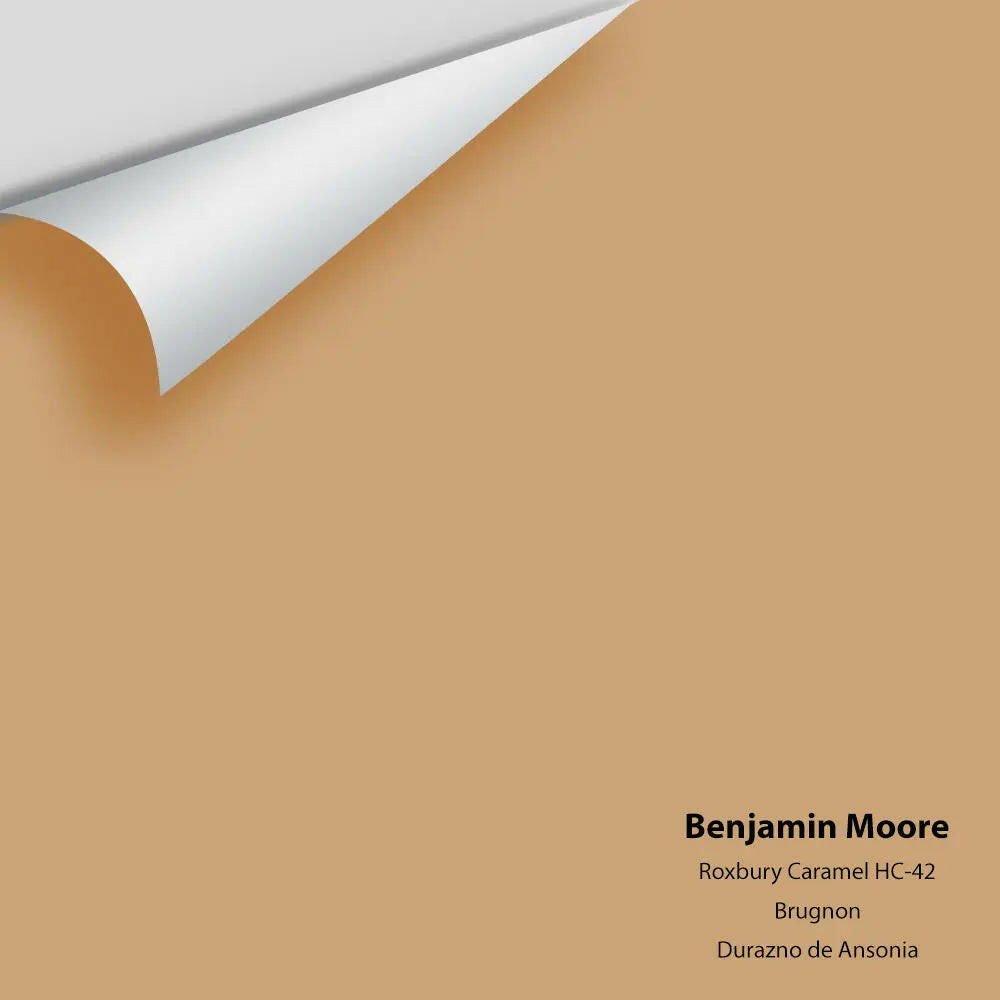 Big Paint Chip - Roxbury Caramel HC-42 Colour Sample