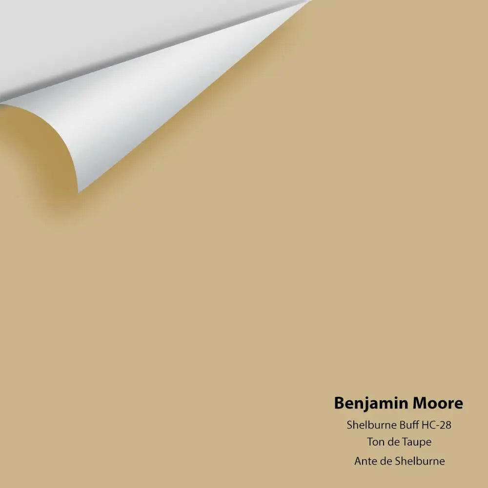 Big Paint Chip - Shelburne Buff HC-28 Colour Sample