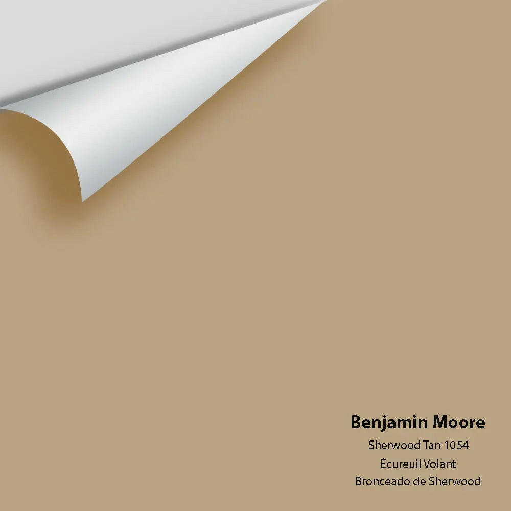 Benjamin Moore - Sherwood Tan 1054 Colour Sample