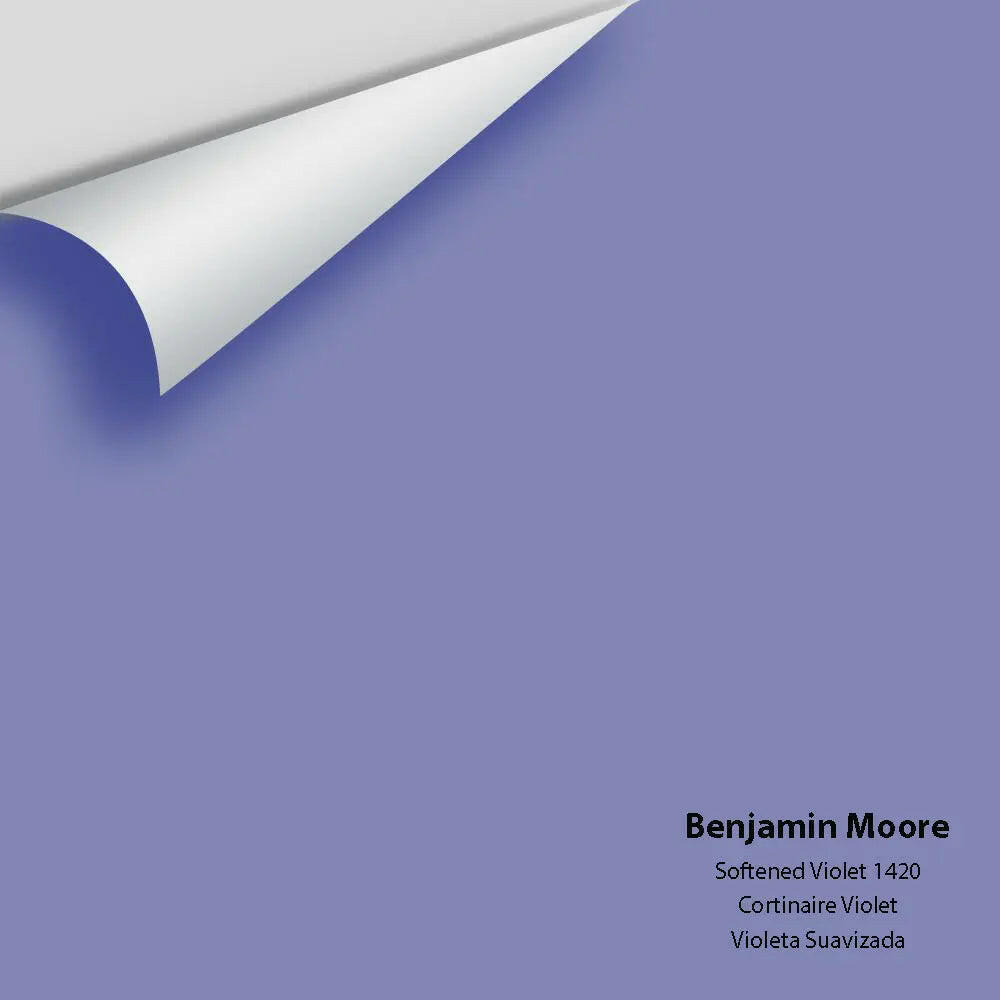 Big Paint Chip - Softened Violet 1420