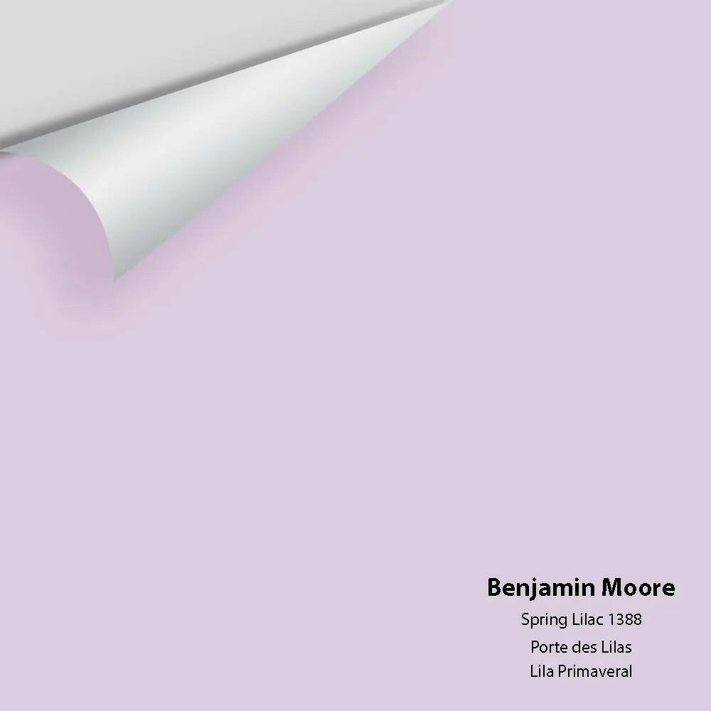 Big Paint Chip - Spring Lilac 1388