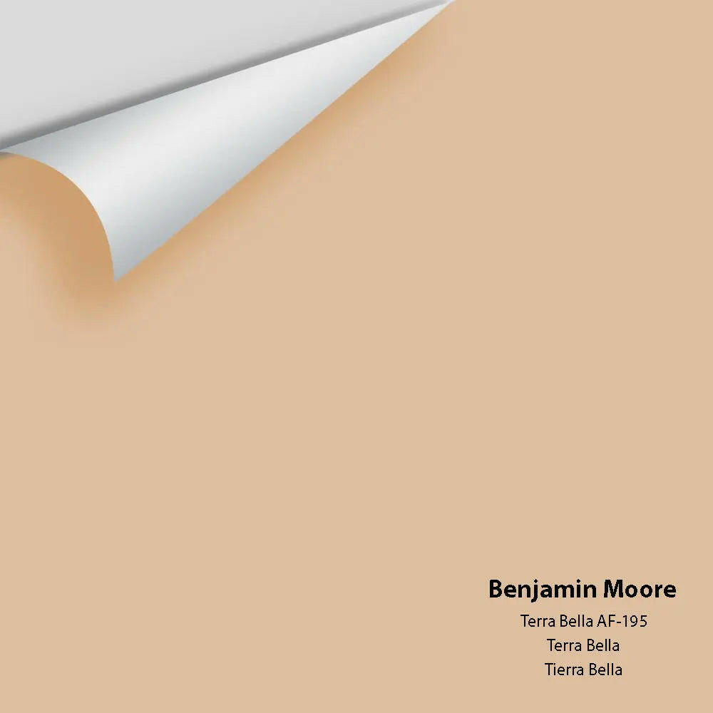 Big Paint Chip - Terra Bella AF-195