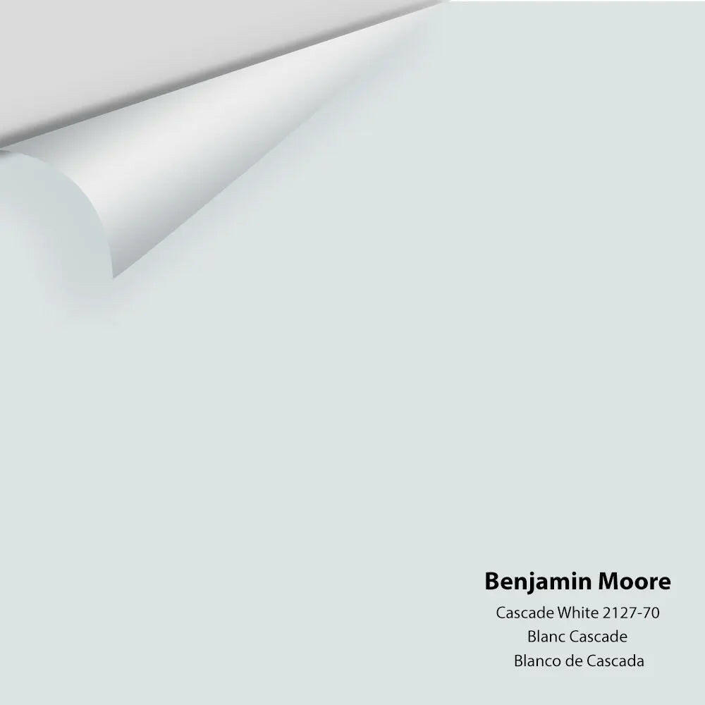 Big Paint Chip - Cascade White 2127-70