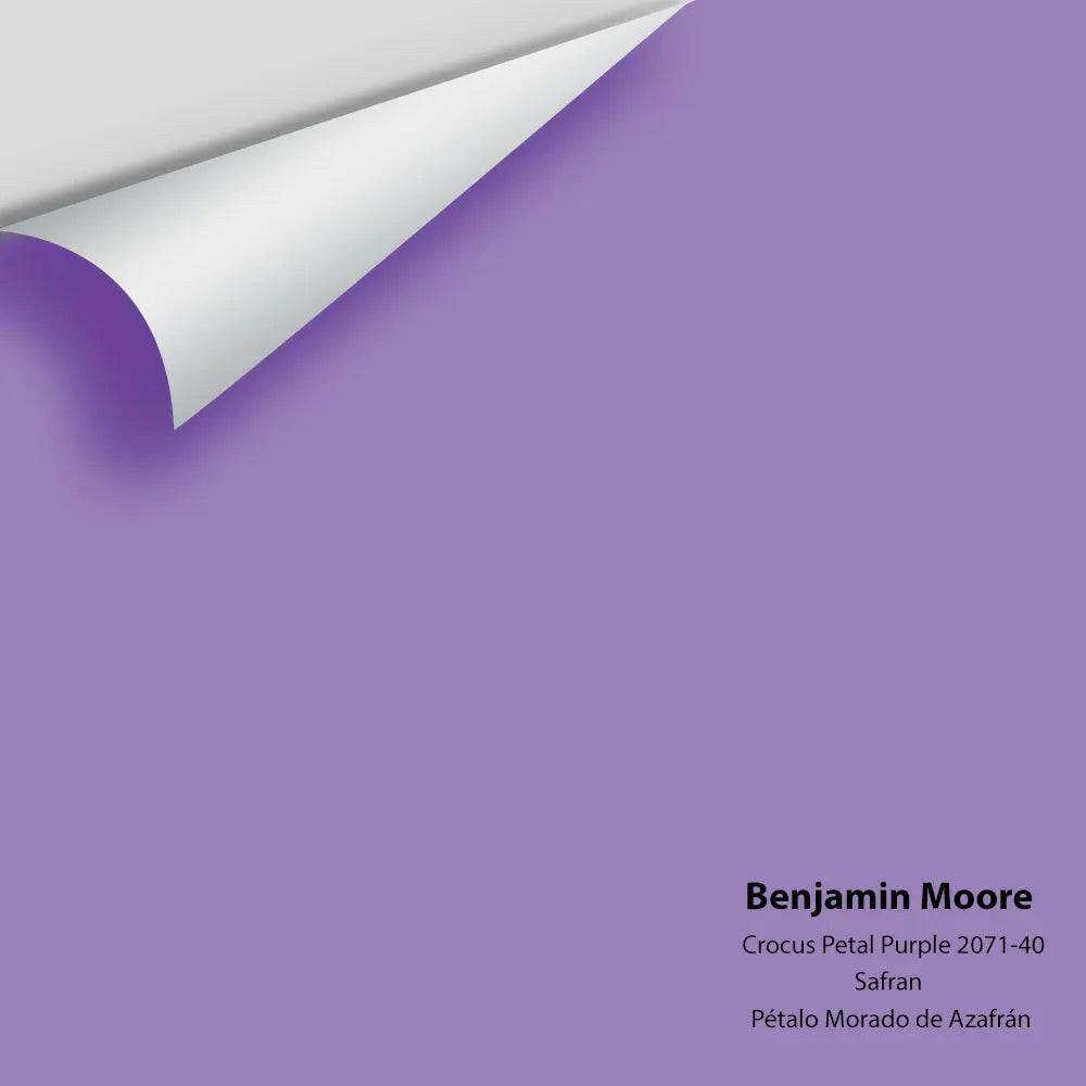 Benjamin Moore - Crocus Petal Purple 2071-40 Colour Sample