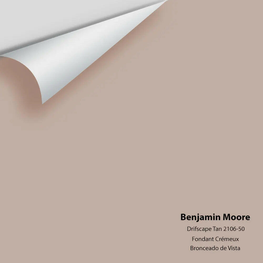 Big Paint Chip - Driftscape Tan 2106-50
