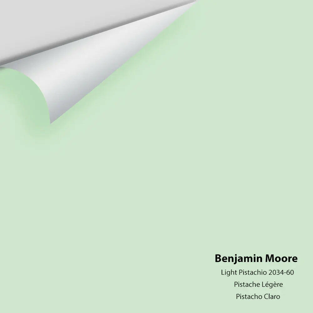 Big Paint Chip - Light Pistachio 2034-60