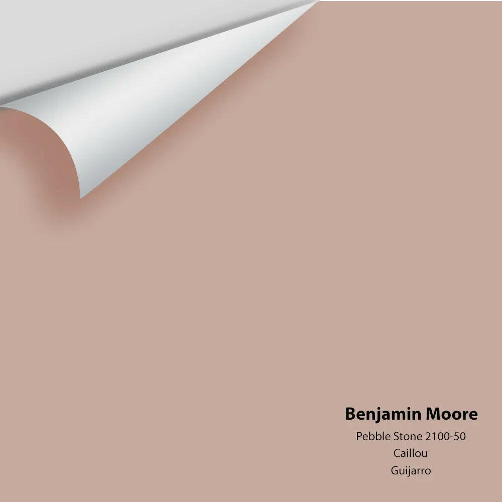 Big Paint Chip - Pebble Stone 2100-50