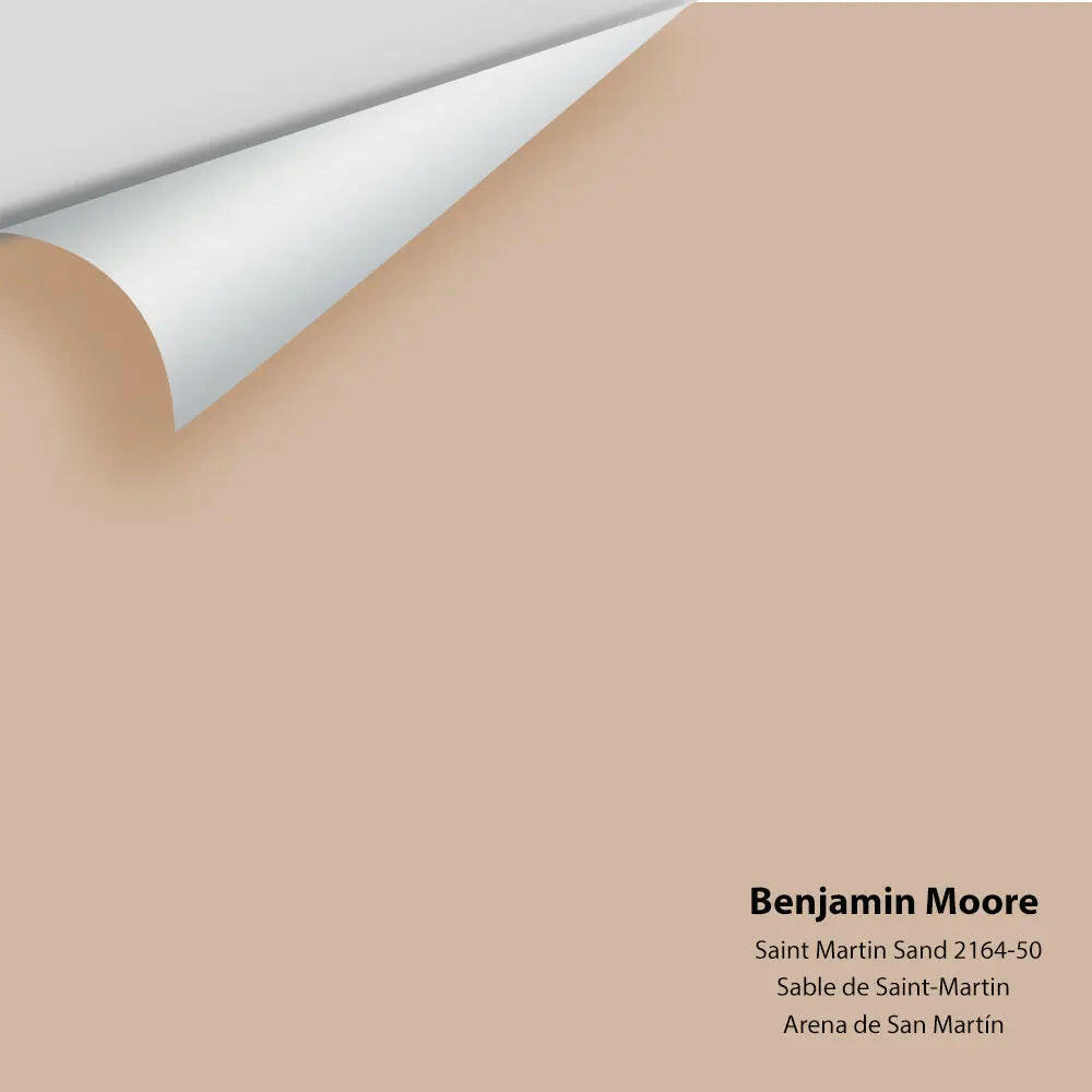 Big Paint Chip - Saint Martin Sand 2164-50