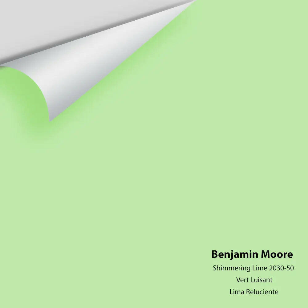 Big Paint Chip - Shimmering Lime 2030-50