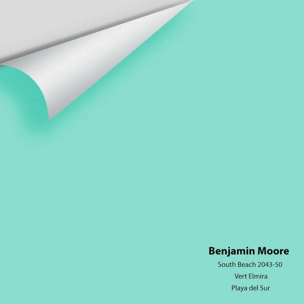 Big Paint Chip - South Beach 2043-50