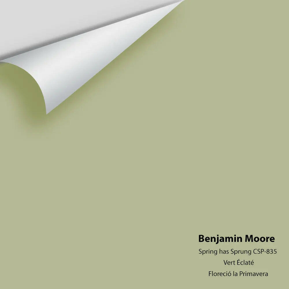 Benjamin Moore - Spring has Sprung CSP-835 Colour Sample