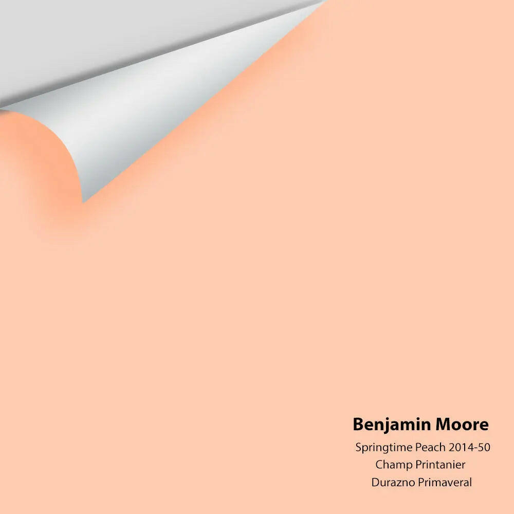Big Paint Chip - Springtime Peach 2014-50