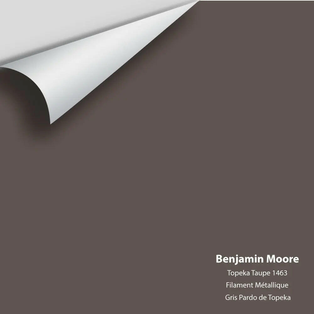 Big Paint Chip - Topeka Taupe 1463