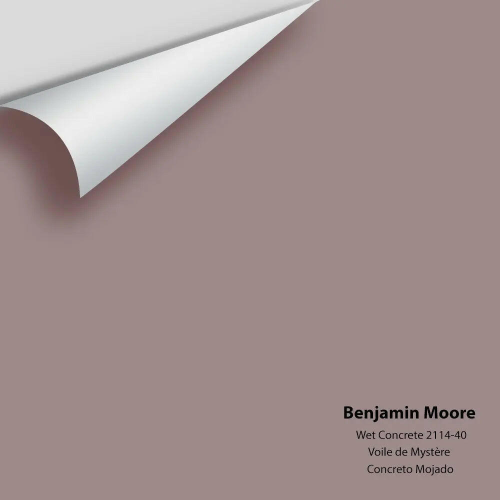 Benjamin Moore - Wet Concrete 2114-40 Colour Sample