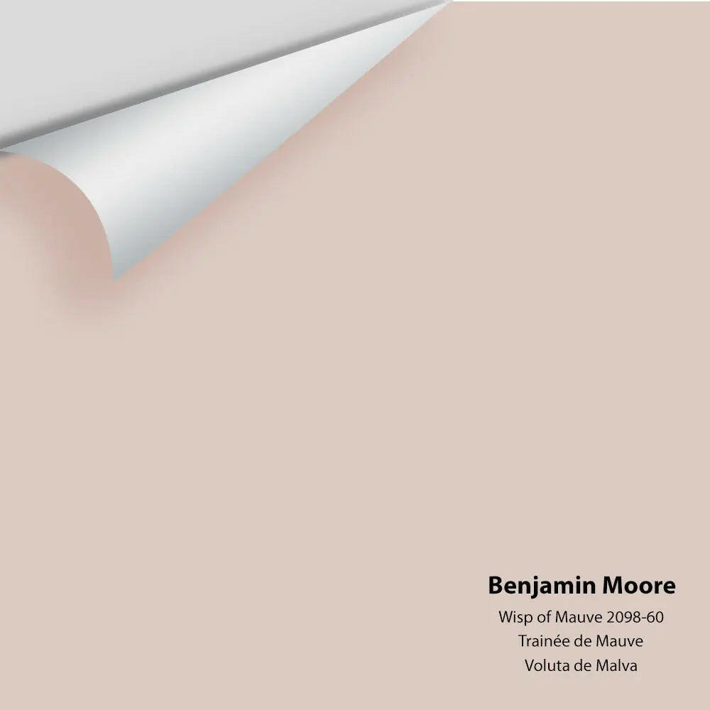 Big Paint Chip - Wisp of Mauve 2098-60