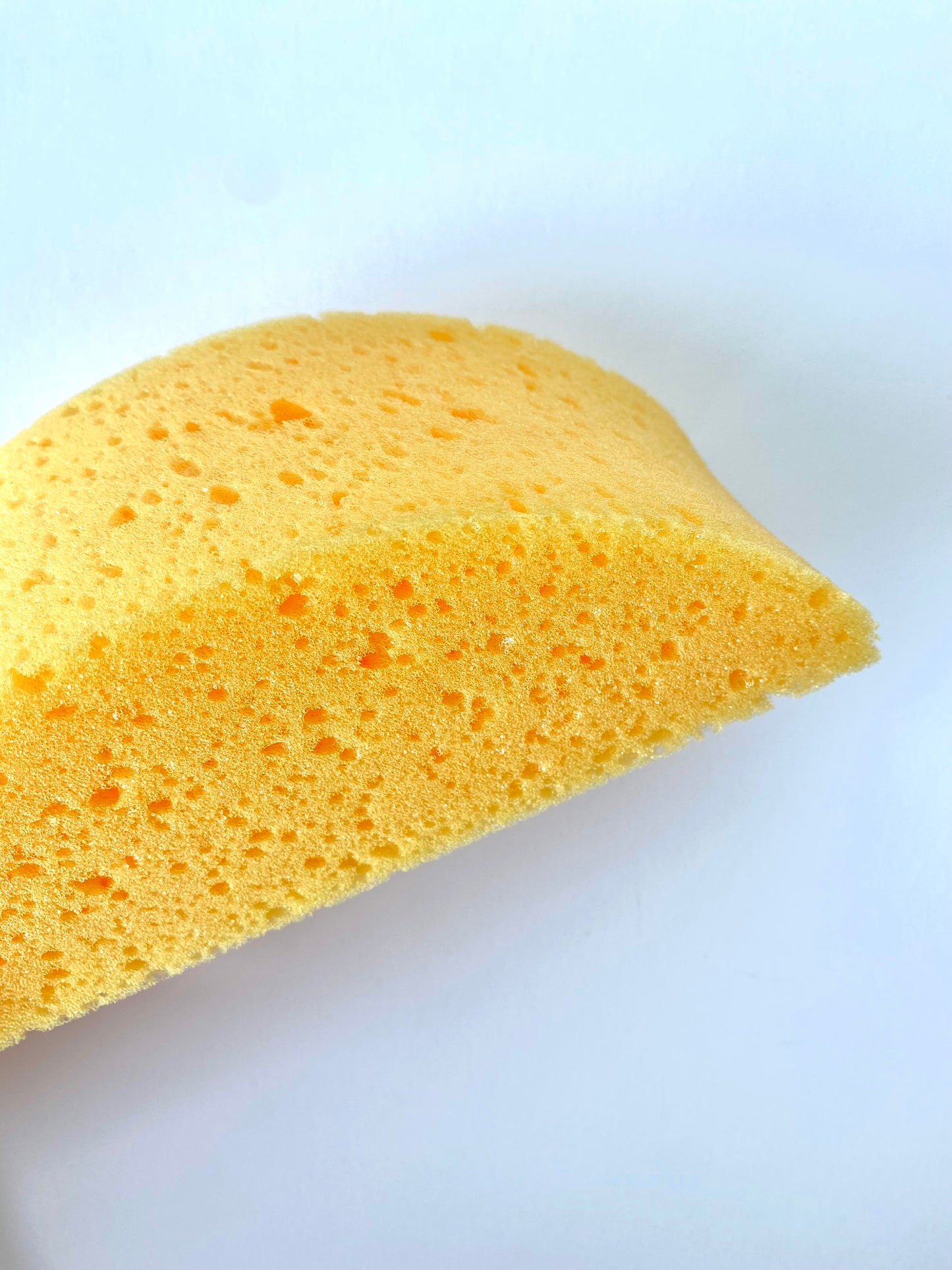 Dynamic Easy Grip Turtleback Sponge